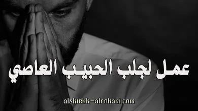 جلب الحبيب العاصي