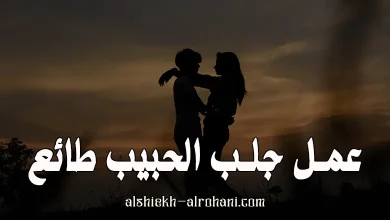 جلب الحبيب مطيع