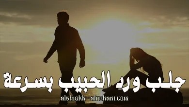 جلب و رد الحبيب