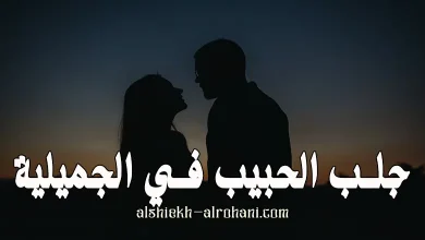 جلب الحبيب في الجميلية