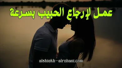 ارجاع الحبيب