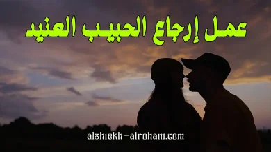 ارجاع الحبيب العنيد