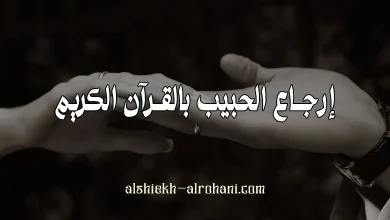 ارجاع الحبيب بالقرآن