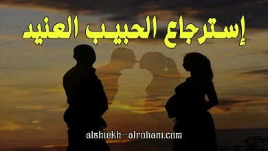 استرجاع الحبيب العنيد