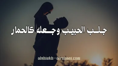 جلب الحبيب كالحمار
