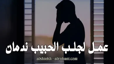 جلب الحبيب ندمان